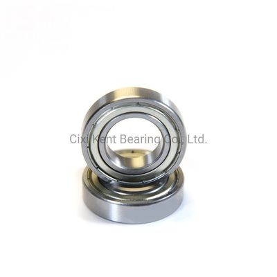 Rodamientos radiales Dgbb 69 Serie 6900 6901 6902 6903 6904 6905 RZ Rodamientos de bolas para máquinas