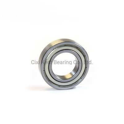 Rodamientos radiales Dgbb 69 Serie 6900 6901 6902 6903 6904 6905 RZ Rodamientos de bolas para máquinas
